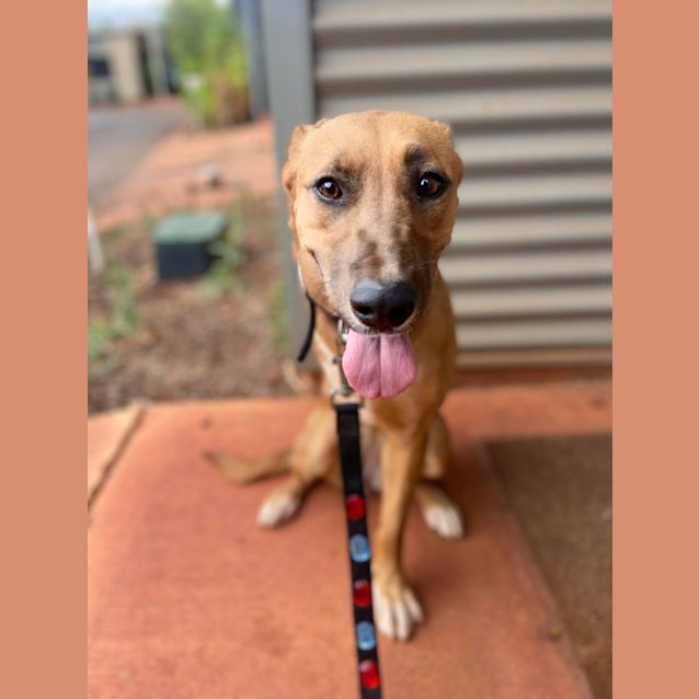 Photo of Elsie