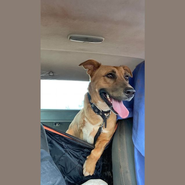 Photo of Elsie