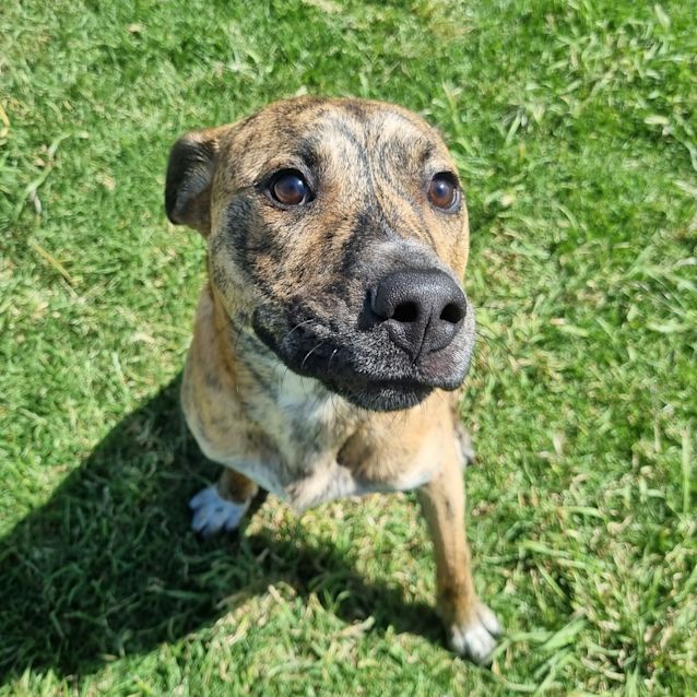 Photo of Rocket