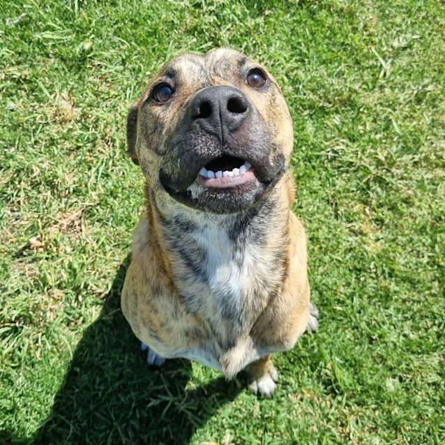 Photo of Rocket