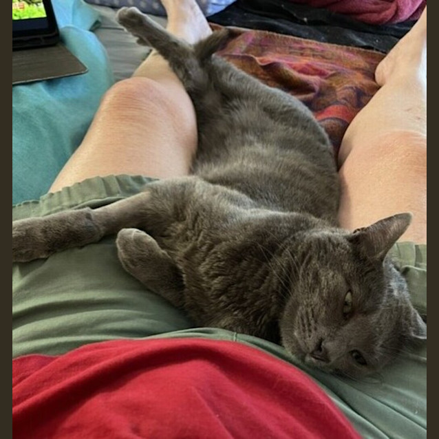 Photo of Pepper