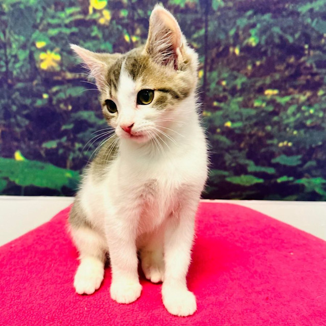 Photo of Kenny   Located In Preston