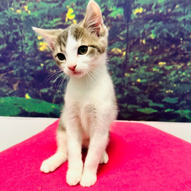 Photo of Kenny   Located In Preston