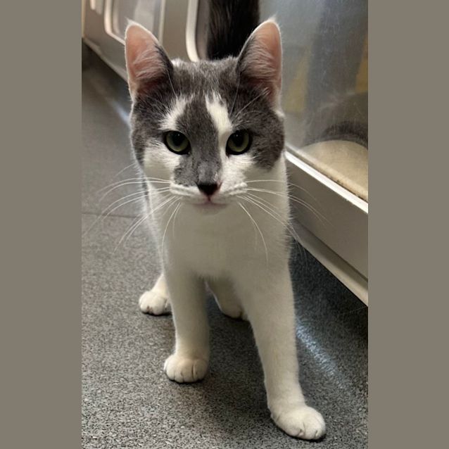 Photo of Dumptruck 🚚