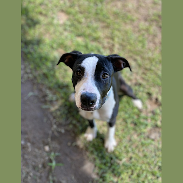 Photo of Lily