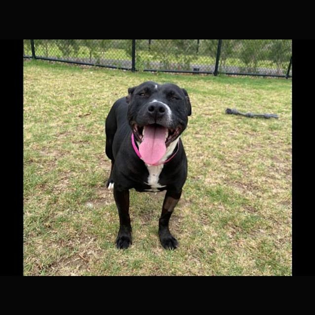 Photo of Narla Imp 1910