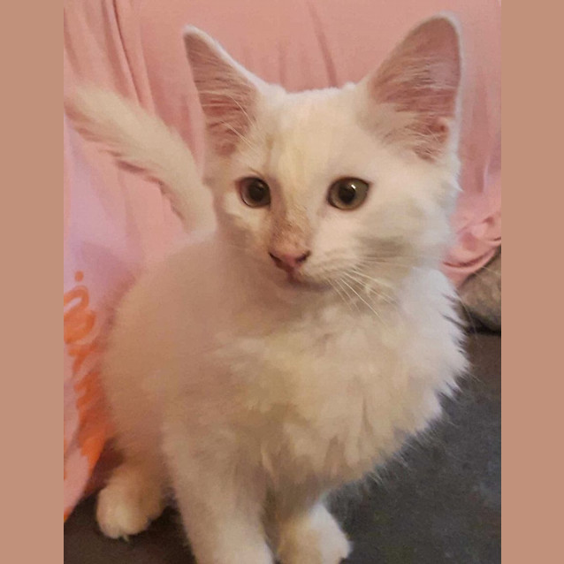 Photo of Mr Drysdale