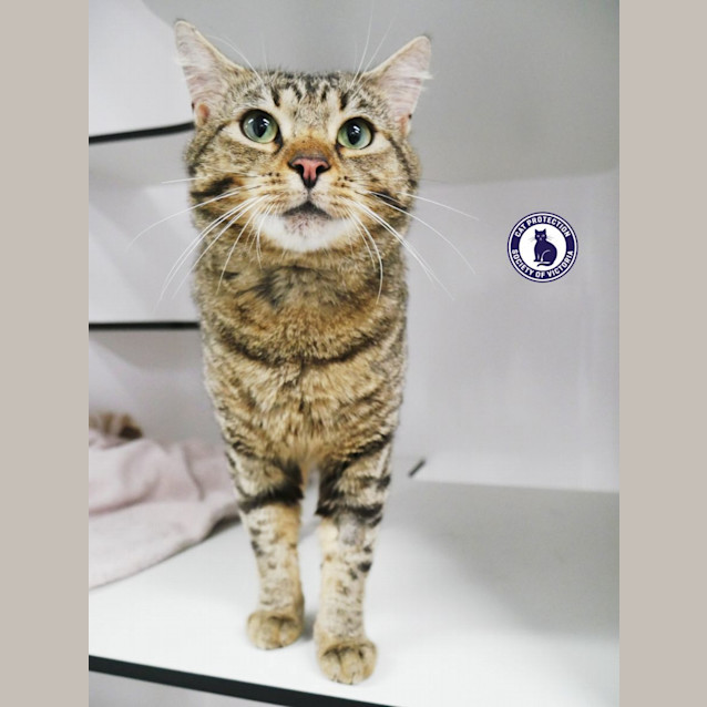 Photo of Jackson Sta011821