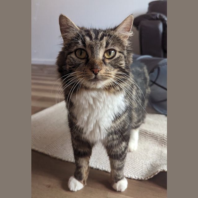 Photo of Betty