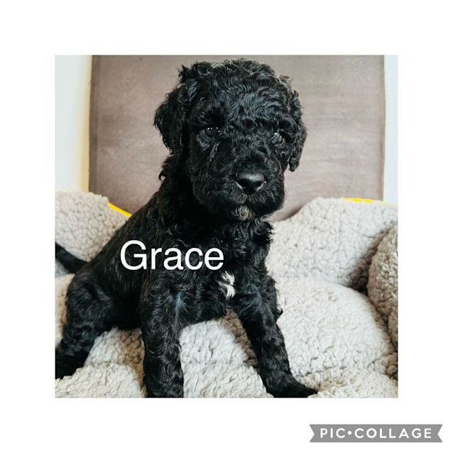 Photo of Grace