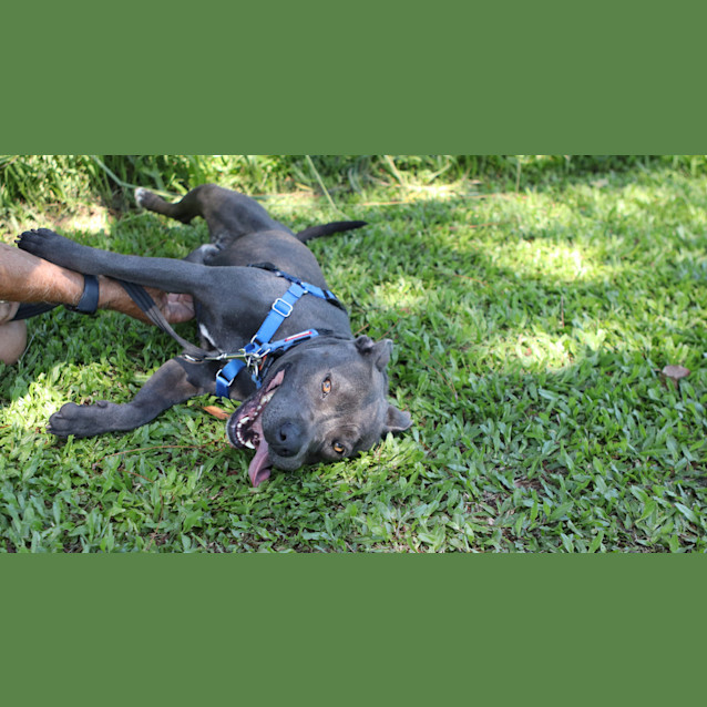 Photo of Maisey