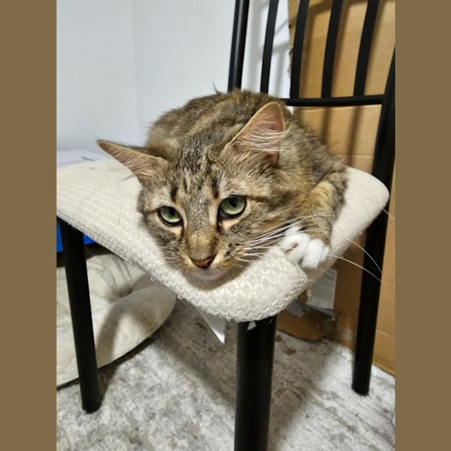 Photo of Miss Tink/Tinkerbell