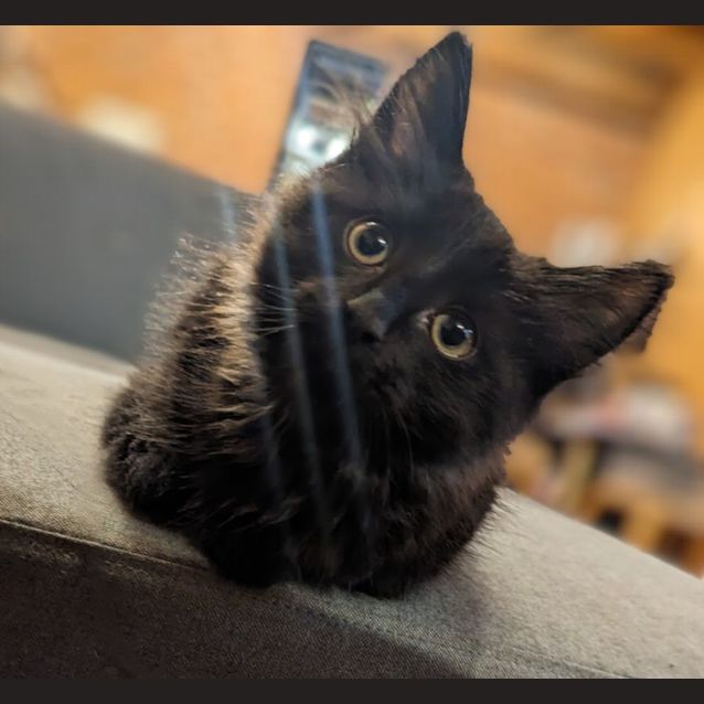 Photo of Pym