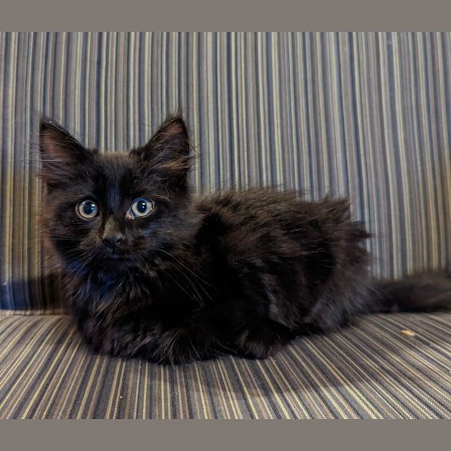 Photo of Pym