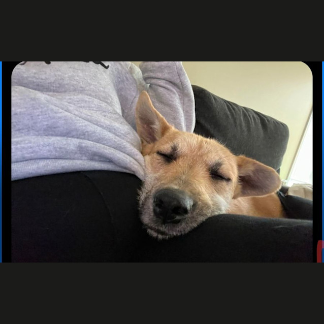 Photo of Nala
