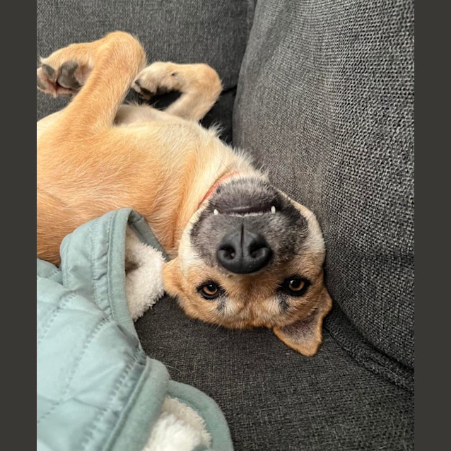 Photo of Nala