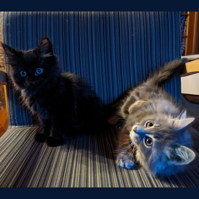 Photo of Lenore