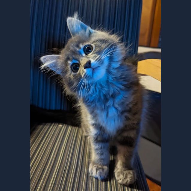 Photo of Lenore