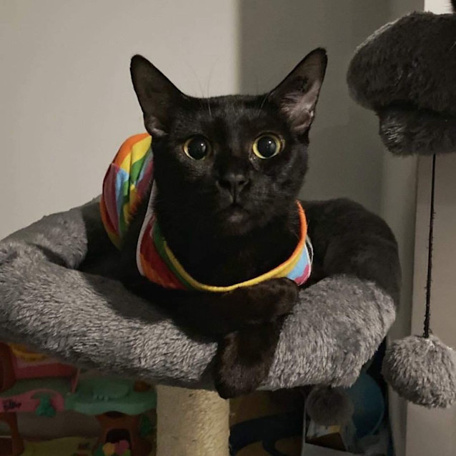 Photo of 9771   Wanda