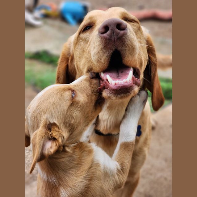 Photo of Michaelangelo