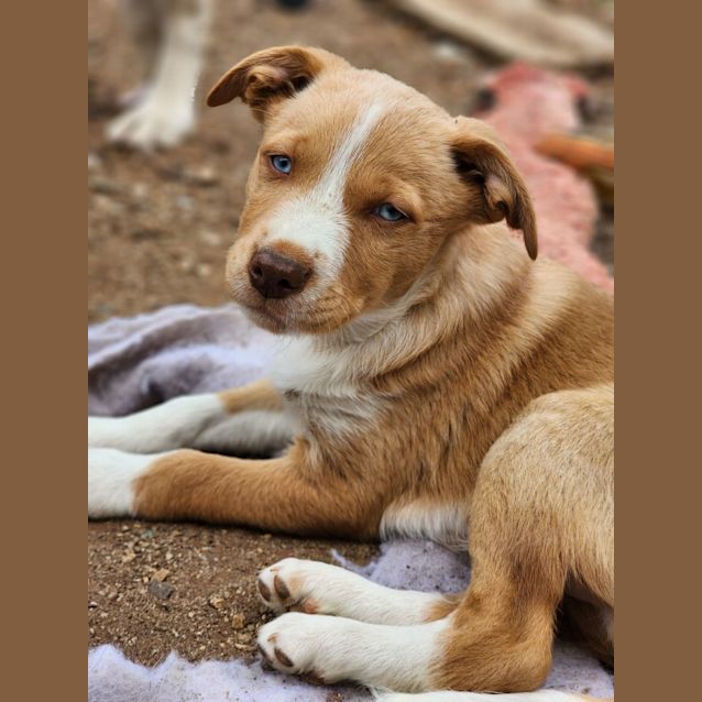 Photo of Michaelangelo