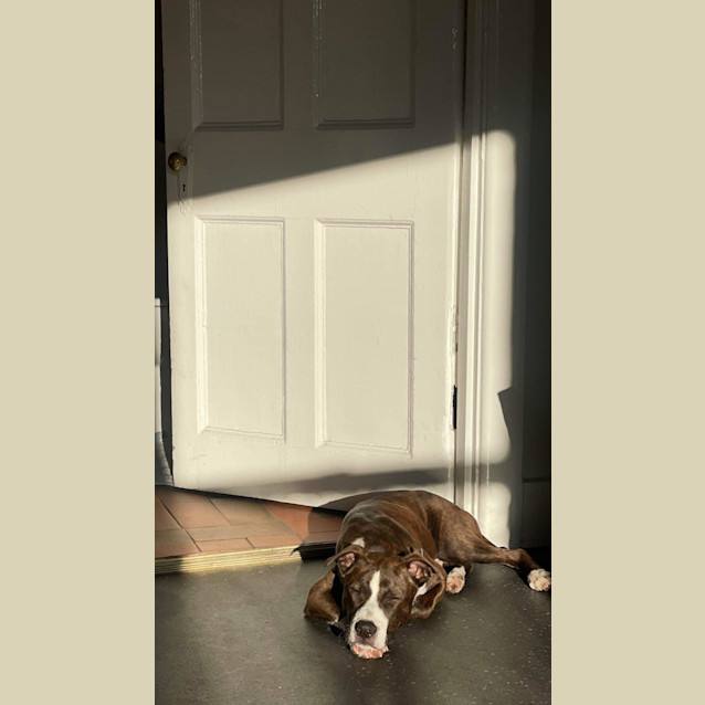 Photo of Sid