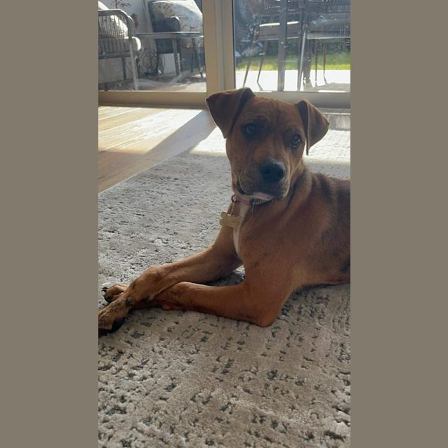Photo of Faffy
