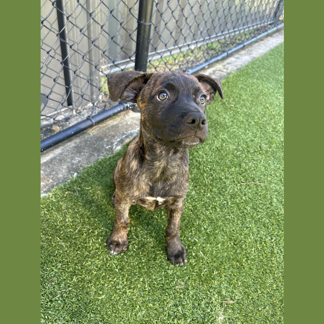 Photo of Freyja