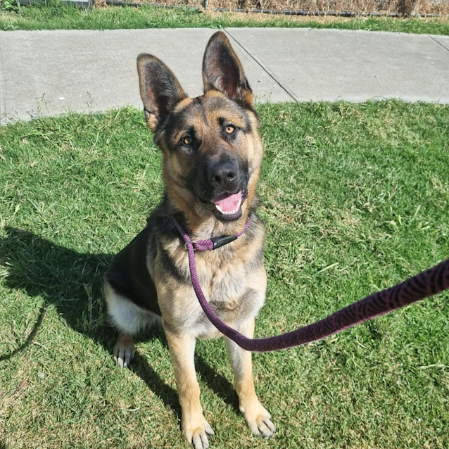 Photo of Reggie