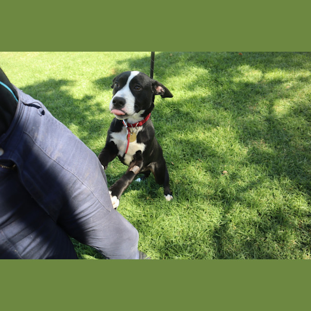 Photo of Murphy