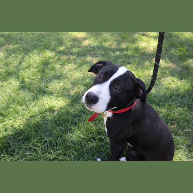Photo of Murphy