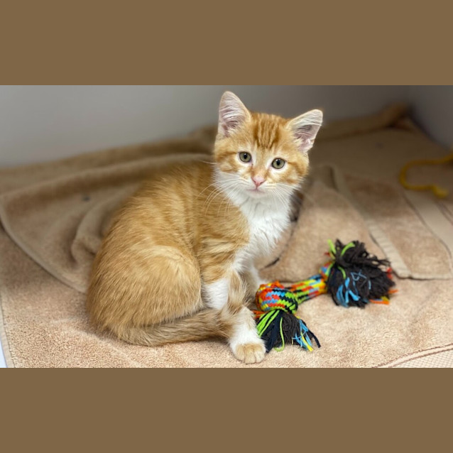 Photo of Milo