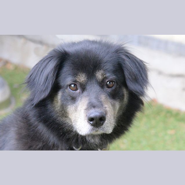 Photo of Snuffy