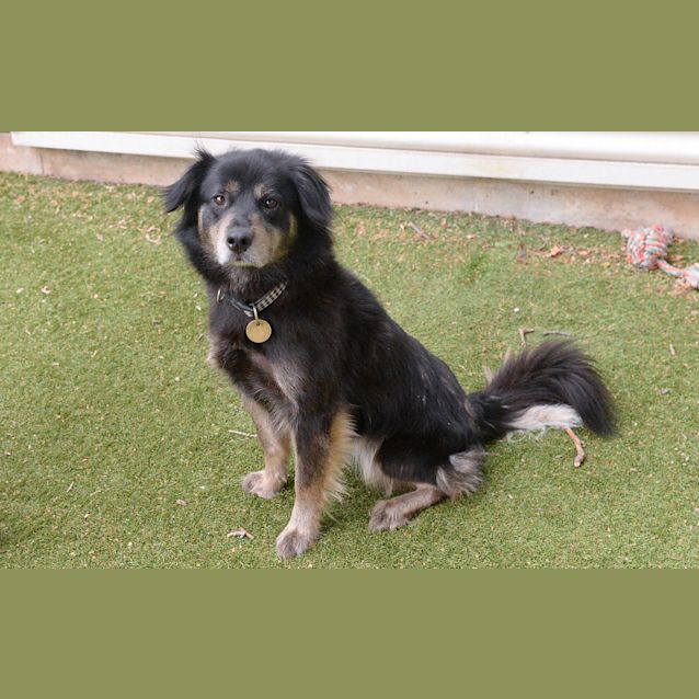 Photo of Snuffy