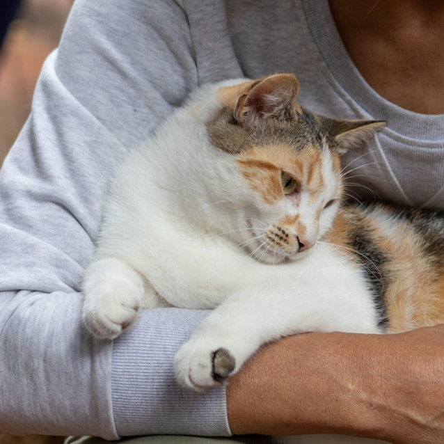 Photo of Rapha & Kheis