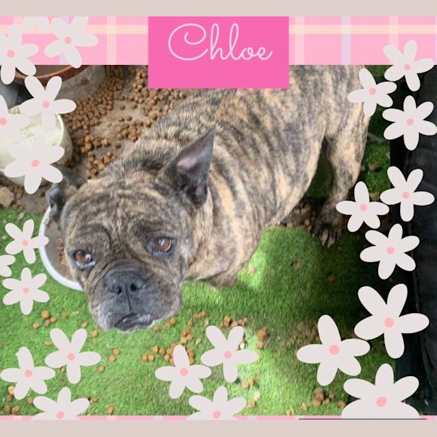 Photo of Chloe