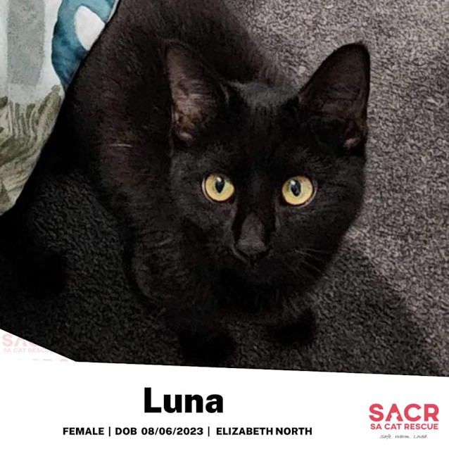 Photo of Luna 
