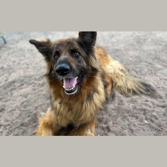 Photo of Tyson
