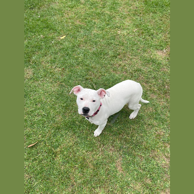 Photo of Molly