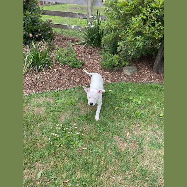 Photo of Molly