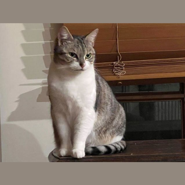 Photo of Kaolin Jagger