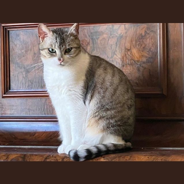 Photo of Kaolin Jagger