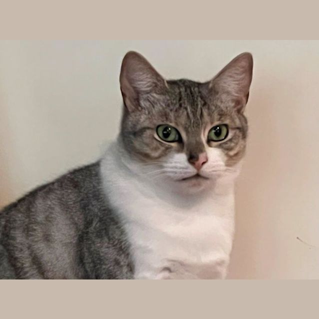 Photo of Kaolin Jagger