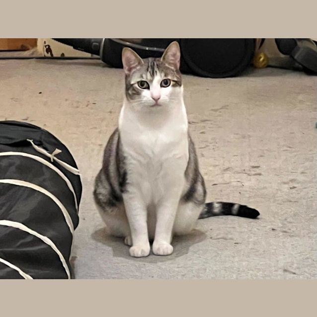 Photo of Bowie Jagger