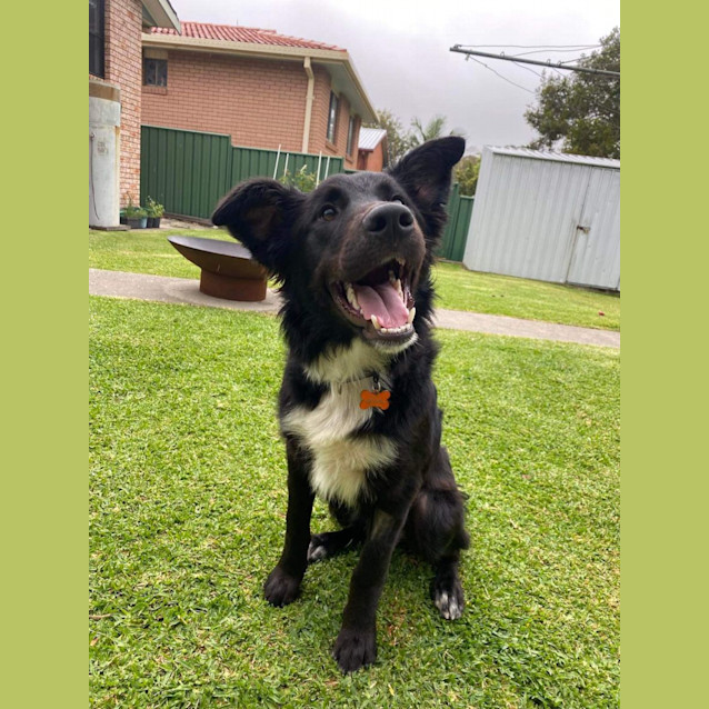 Photo of Turbo