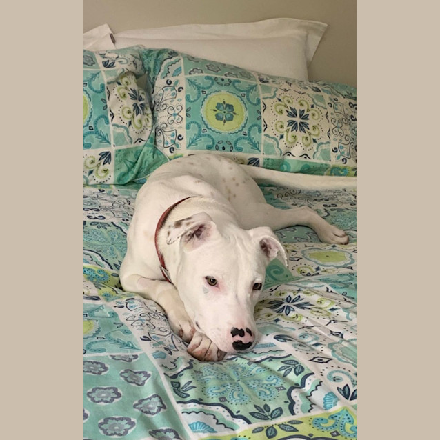 Photo of Lucy 