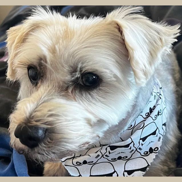 Photo of Emmitt And Howie