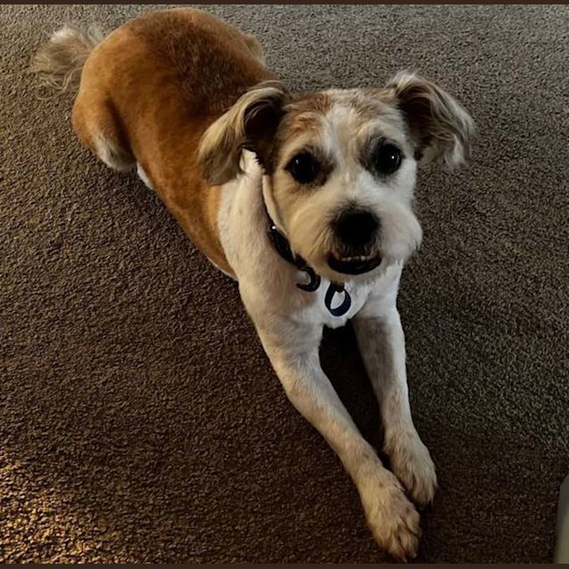 Photo of Emmitt And Howie