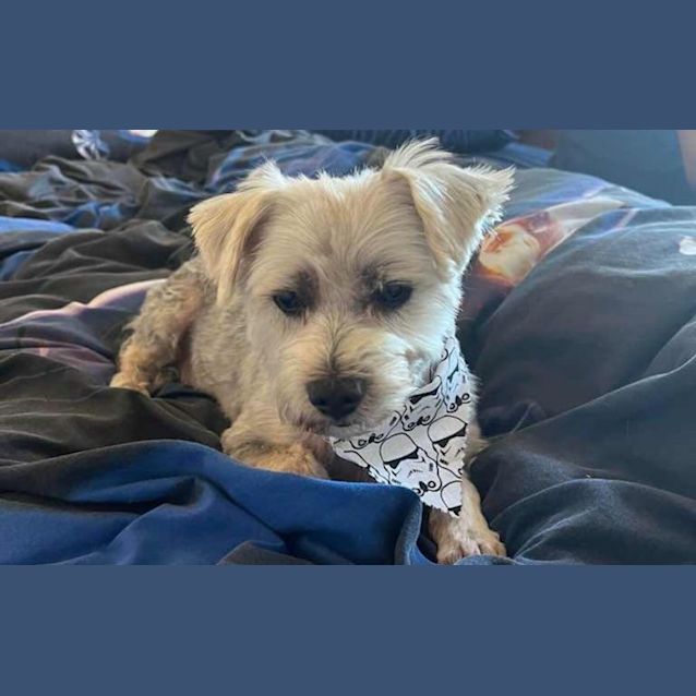 Photo of Emmitt And Howie