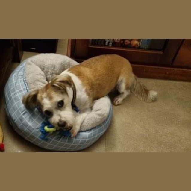 Photo of Emmitt And Howie